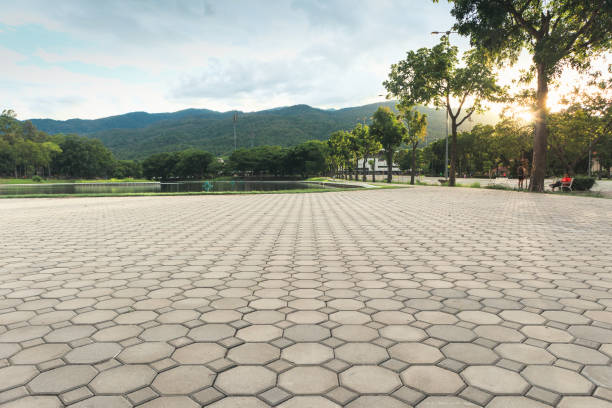 Best Driveway Repair Near Me  in Maple Bluff, WI